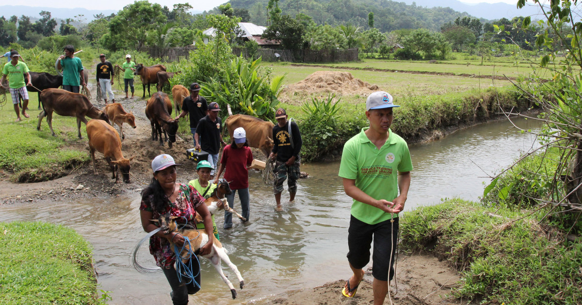 Typhoon Haiyan: thanks for your support | [site:name]